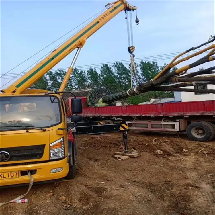 黄石100吨吊车租赁费用怎么算？3大关键因素+省钱技巧全解析